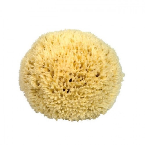 Eponge de mer ultra fine pour le visage - 10 cm Eponge de mer ultra fine pour le visage - 10 cm