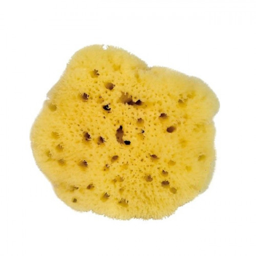 Eponge de mer « touché de soie » - contour des yeux - 7 cm Eponge de mer « touché de soie » - contour des yeux - 7 cm