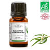 Huile essentielle d'Eucalyptus globuleux BIO