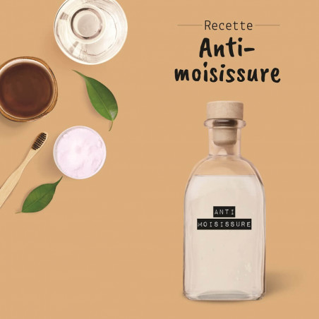 Fabriquer son anti-moisissures maison : la recette !