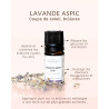 Les bienfaits de la lavande aspic