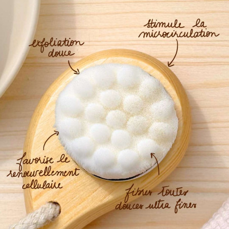 Brosse Nettoyante Visage en Bois Naturel – Fibres Douces Exfoliantes Brosse Nettoyante Visage en Bois Naturel – Fibres Douces Exfoliantes