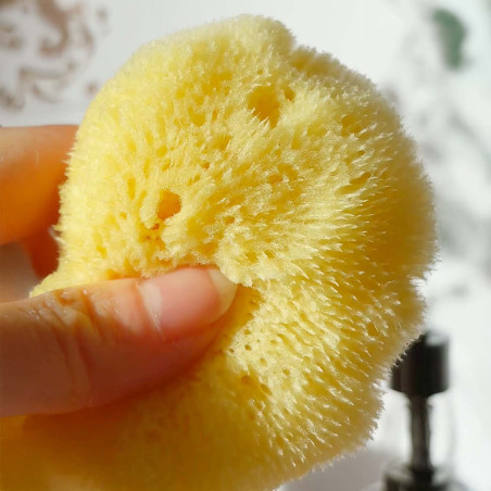 Eveil du regard - Eponge & eau de rose