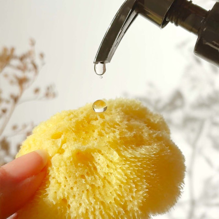 Eveil du regard - Eponge & eau de rose