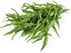 Estragon (photo MyCosmetik)