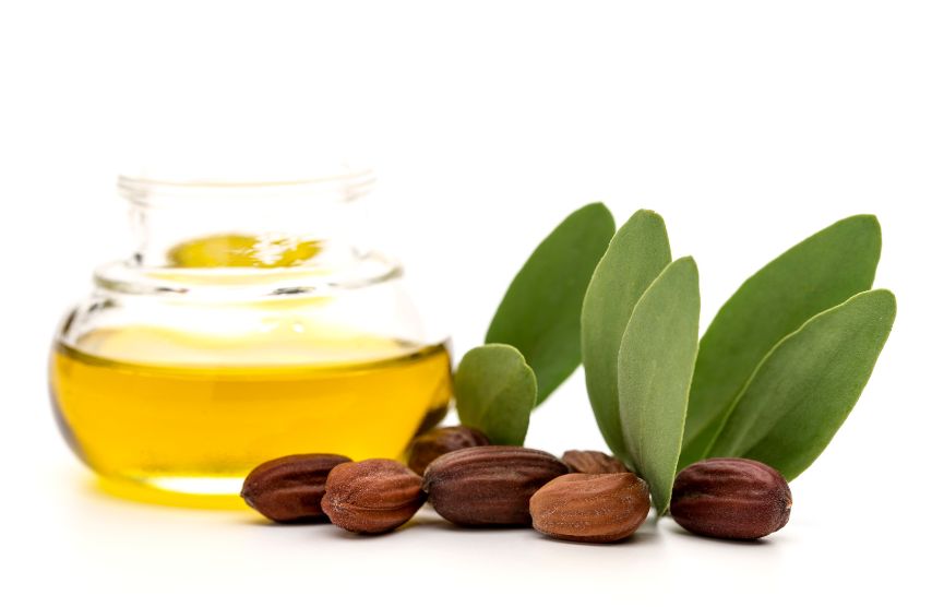 Les bienfaits de l'huile de jojoba pour les cheveux