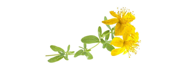 Macérât huileux de millepertuis bio