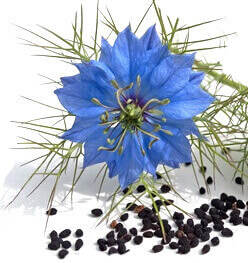 Huile végétale de nigelle