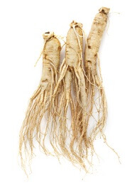 Propriétés et bien bienfaits du ginseng