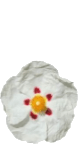 Huile essentielle de ciste ladanifère (Cistus ladaniferus)