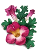 L’harpagophytum (Harpagophytum procumbens)