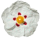 Huile essentielle de ciste ladanifère (Cistus ladaniferus)