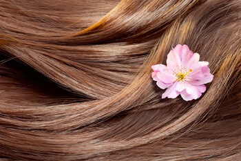Les meilleures huiles végétales pour la beauté des cheveux !