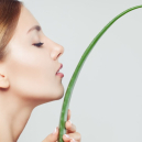 Les bienfaits de l’aloé vera pour le visage