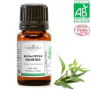 Comment utiliser l'huile essentielle d'Eucalyptus radié ? Comment utiliser l'huile essentielle d'Eucalyptus radié ?