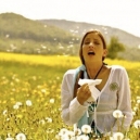 Les huiles essentielles contre le rhume des foins et les allergies au pollen