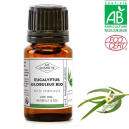 L'huile essentielle d'eucalyptus globuleux contre la bronchite L'huile essentielle d'eucalyptus globuleux contre la bronchite
