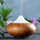 Purifier et assainir l’air avec les huiles essentielles Purifier et assainir l’air avec les huiles essentielles