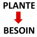 Guide des propriétés et bienfaits des plantes en phytothérapie