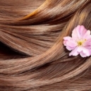 Les meilleures huiles végétales pour la beauté des cheveux Les meilleures huiles végétales pour la beauté des cheveux
